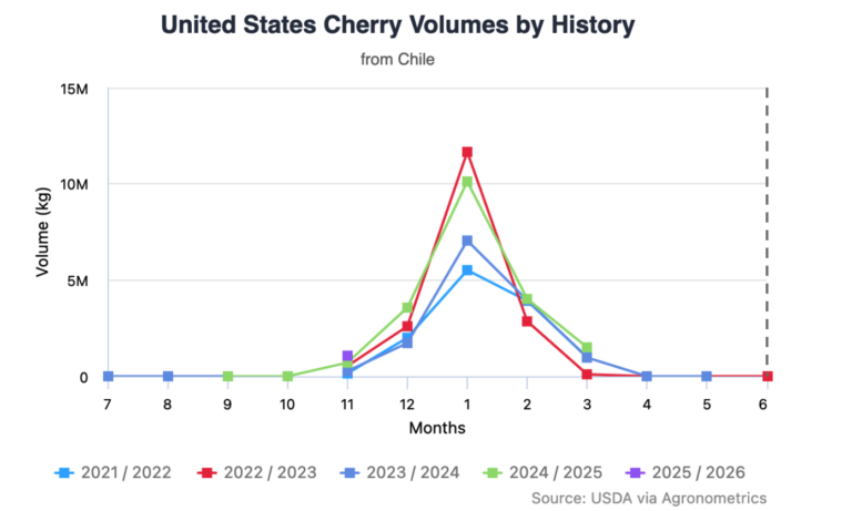 cherry season in chile